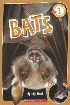 BATS