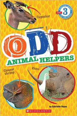 ODD ANIMAL HELPERS