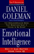 EMOTIONAL INTELLIGENCE: 10TH ANNIVERSARY EDITION; WHY IT CAN MATTER MORE THAN IQ (ANNIVERSARY) (10TH ED.)