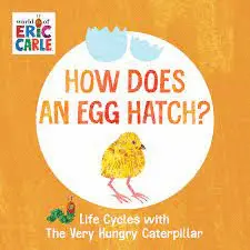 HOW DOES AN EGG HATCH?