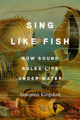 SING LIKE FISH