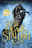 THE BLACK STALLION