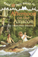 AFTERNOON ON THE AMAZON