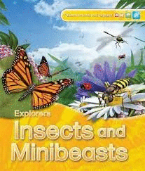 EXPLORERS: INSECTS AND MINIBEASTS