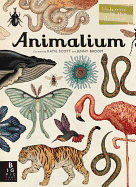 ANIMALIUM - WELCOME TO THE MUSEUM