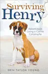 SURVIVING HENRY