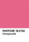 PANTONE HONEYSUCKLE JOURNAL