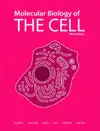 MOLECULAR BIOLOGY OF THE CELL