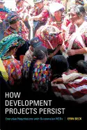 HOW DEVELOPMENT PROJECTS PERSIST