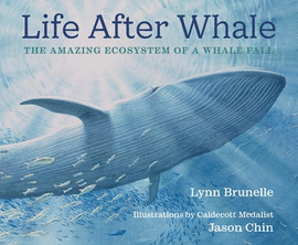 LIFE AFTER WHALE