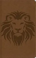 NBLA, BIBLIA VISUAL DE ESTUDIO PARA NIÑOS, LEATHERSOFT, CAFÉ