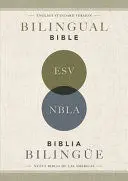 Esv/Nbla, Bilingual Bible, Softcover / Esv/Nbla, Biblia Bilingüe, Tapa Rústica