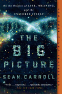 THE BIG PICTURE: ON THE ORIGINS OF LIFE, MEANING, AND THE UNIVERSE ITSELF