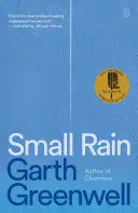 Small Rain
