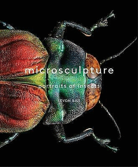 LEVON BISS - MICROSCULPTURE. PORTRAITS OF INSECTS