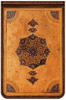 SAFAVID MINI REPORTER (PB2587-0)