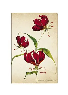 AGENDA GLORIOSA LILY 2019 (DE4864-0)