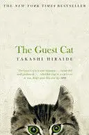 THE GUEST CAT