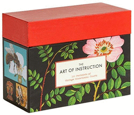 THE ART OF INSTRUCTION: POSTCARDS: 100 POSTCARDS OF VINTAGE EDUCATIONAL CHARTS