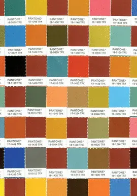 PANTONE CHIPS JOURNAL EARTH TONES