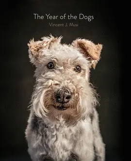 VINCENT J. MUSI - THE YEAR OF THE DOGS