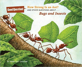 HOW STRONG IS AN ANT?: AND OTHER QUESTIONS ABOUT BUGS AND INSECTS (GOOD QUESTION!)