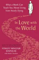 IN LOVE WITH THE WORLD