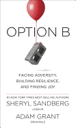 OPTION B: FACING ADVERSITY, BUILDING RESILIENCE, AND FINDING JOY