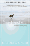 THE UNTETHERED SOUL: THE JOURNEY BEYOND YOURSELF