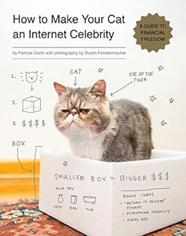 HOW TO MAKE YOUR CAT AN INTERNET CELEBRITY