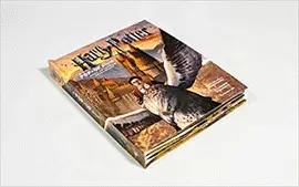 HARRY POTTER: A POP-UP BOOK