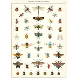 WRAP/NHINS NATURAL HISTORY INSECTS WRAP