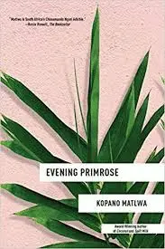 EVENING PROMISE