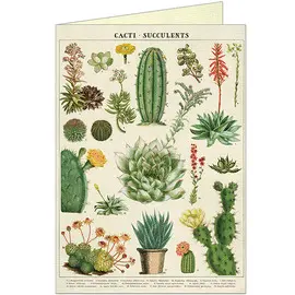 Cacti & Succulents Greeting Card & Envelope