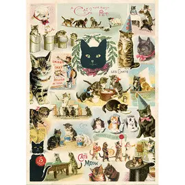 WRAP/CAT CAT COLLAGE WRAP