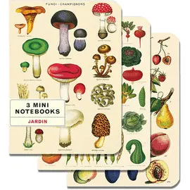 Le Jardin 3 Mini Notebooks