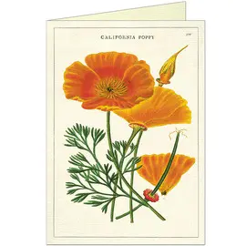 California Poppy Greeting Card & Envelope