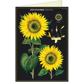 Sunflower Greeting Card & Envelope