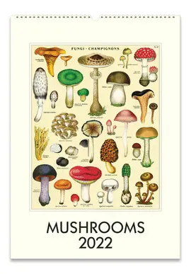 Wall Calendar Mushrooms