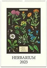 WALL CALENDAR HERBARIUM