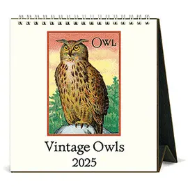 CAL25-8 VINTAGE OWLS 2025 DESK CALENDAR