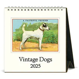 CAL25-22 VINTAGE DOGS 2025 DESK CALENDAR