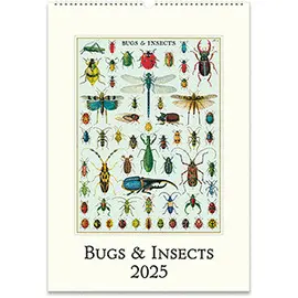 CAL25-26 BUGS & INSECTS 2025 WALL CALENDAR