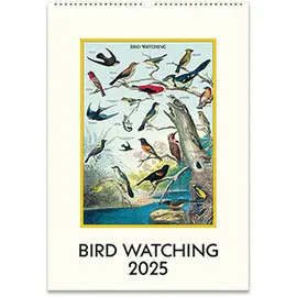 CAL25-31 BIRDWATCHING 2025 WALL CALENDAR