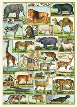 WRAP/ANIMAL ANIMAL WORLD WRAP