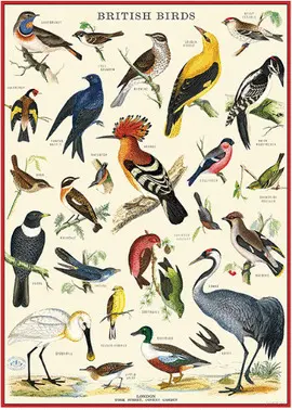 WRAP/BRDBRT BRITISH BIRDS WRAP