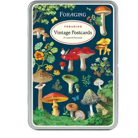 CP/FORAGE FORAGING VINTAGE POSTCARD SET