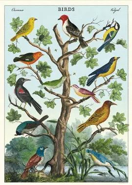 Birds In a Tree Wrap - Aves en un Árbol Afiche