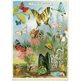 Butterflies Wrap - Mariposas Afiche
