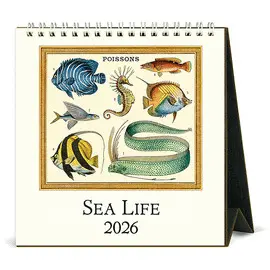 CAL26-8 SEA LIFE 2026 DESK CALENDAR